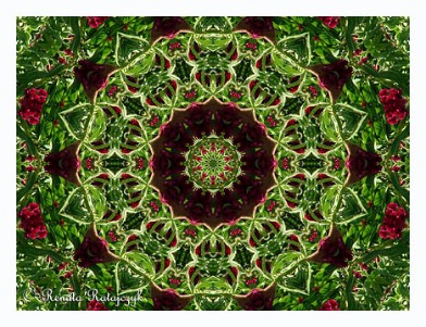 One of our mandalas open editions prints available via our Fine Art America store.