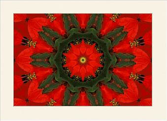 Visit our Image Kind Store now
